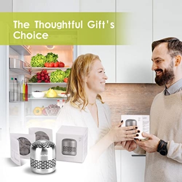 10 Year Refrigerator Deodorizer for Odor-Free Freshness