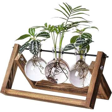Kingbuy Plant Propagation Station - Terrarium Planter
