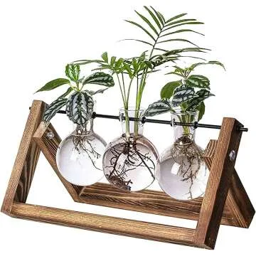 Kingbuy Plant Propagation Station - Terrarium Planter
