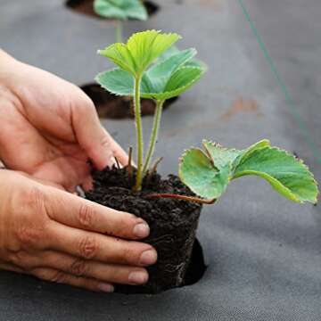 Land Guard Garden Weed Barrier Fabric - High Density Woven Landscape Fabric - Premium Heavy Duty Weed Mat Fabric - Weed Blocker Fabric - Suitable for Landscaping(3ft×50ft…