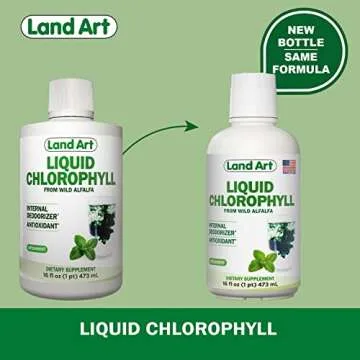 Liquid Chlorophyll Mint Flavored – Cold Extracted from Wild Non-GMO Alfalfa - Alkaline - Natural B...