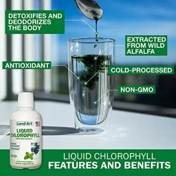 Liquid Chlorophyll Mint Flavored – Cold Extracted from Wild Non-GMO Alfalfa - Alkaline - Natural Body Deodorant – Antioxidant - 16 fl oz