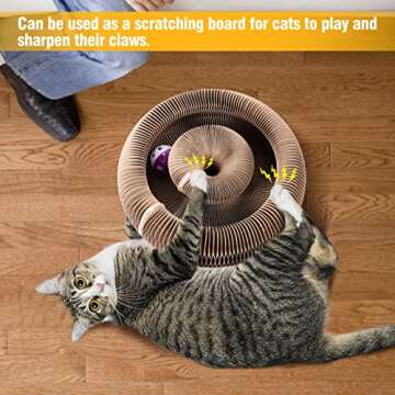 Magic Organ Cat Scratching Board - Foldable, Eco-Friendly Claw Scratcher with Toys
