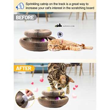 Magic Organ Cat Scratching Board - Fun, Eco-Friendly & Durable