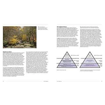 Naturalistic Planting Design by Nigel Dunnett - Eco-Friendly Gardening Guide