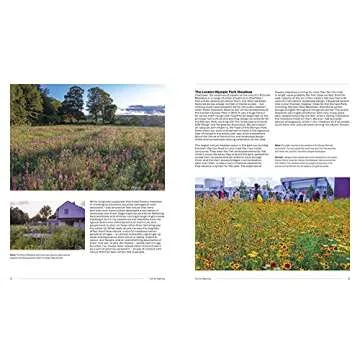 Naturalistic Planting Design by Nigel Dunnett - Eco-Friendly Gardening Guide