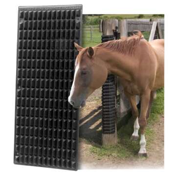The Equine Scratcher