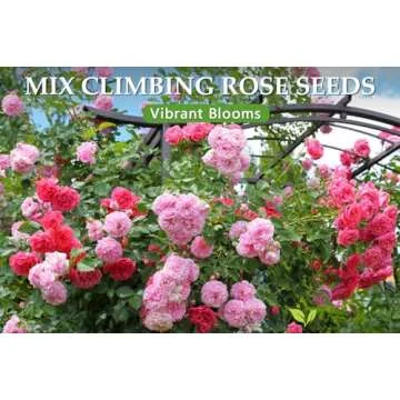 600+ Climbing Rose Seeds for Vibrant Garden Blooms