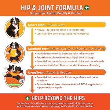 Bernie's Healthy HIPS - Daily Dog Hip and Joint Supplement - 90 Soft Chews - Reduce Pain, Encourage Mobility, Slow Damage, Repair and Rebuild HIPS and Joint Tissues