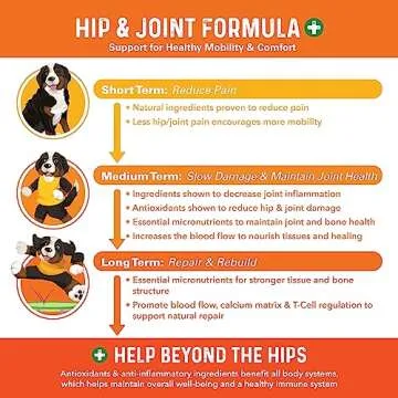 Bernie's Healthy HIPS - Daily Dog Hip and Joint Supplement - 90 Soft Chews - Reduce Pain, Encourage Mobility, Slow Damage, Repair and Rebuild HIPS and Joint Tissues