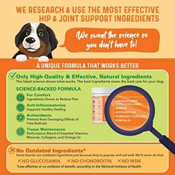 Bernie's Healthy HIPS - Daily Dog Hip and Joint Supplement - 90 Soft Chews - Reduce Pain, Encourage Mobility, Slow Damage, Repair and Rebuild HIPS and Joint Tissues