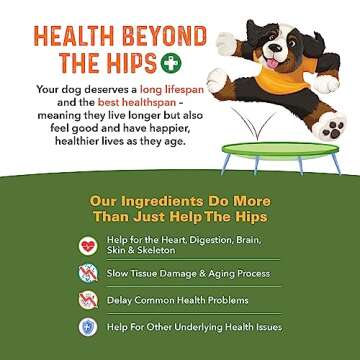 Bernie's Healthy HIPS - Daily Dog Hip and Joint Supplement - 90 Soft Chews - Reduce Pain, Encourage Mobility, Slow Damage, Repair and Rebuild HIPS and Joint Tissues