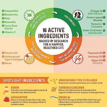 Bernie's Healthy HIPS - Daily Dog Hip and Joint Supplement - 90 Soft Chews - Reduce Pain, Encourage Mobility, Slow Damage, Repair and Rebuild HIPS and Joint Tissues