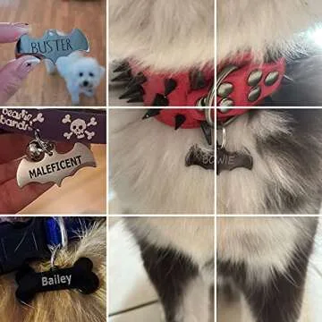 Personalized Stainless Steel Pet ID Tags for Dogs and Cats
