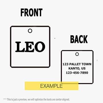 Personalized Stainless Steel Pet ID Tags for Dogs and Cats