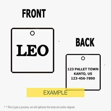 Personalized Stainless Steel Pet ID Tags for Dogs and Cats