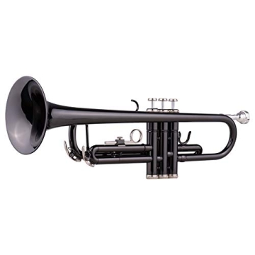 LeSage Bb Trumpet for Beginners with Accessories