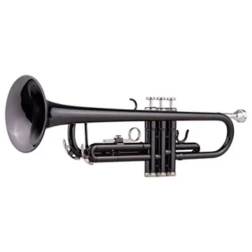 LeSage Bb Trumpet for Beginners with Accessories