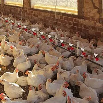 20 Pack Chicken Waterer PVC Tee Fittings - Durable and Easy Install