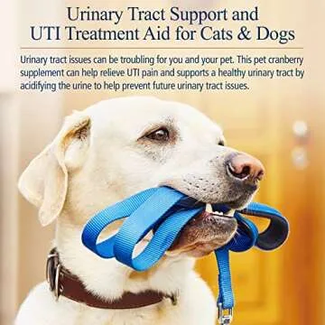 Rx Vitamins Cranberry Pills for Dogs and Cats - Urinary Support