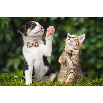 Stylish 3 PCS Dog Collars and Leash Set with Bow Tie and Bandana