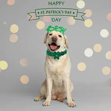 Elegant Little Tail St. Patrick's Dog Collar with Flower