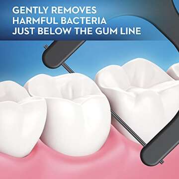 Oral-B Charcoal Infused Mint Dental Floss Picks - 300 Count Total