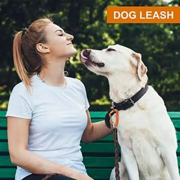 12KN Heavy Duty Carabiner Clips for Outdoor and Everyday Tasks