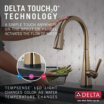 Delta Faucet Lenta Gold Kitchen Faucet Touch, Touch Kitchen Faucets with Pull Down Sprayer, Kitchen ...