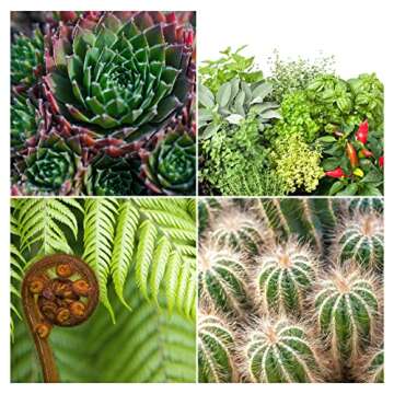 Coco Peat Perlite Potting Mix (2 Quarts), Loose Coconut Coir and Perlite