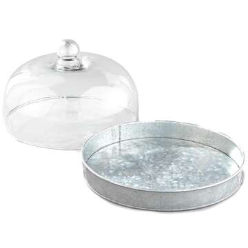 The Lakeside Collection Glass Domed Serving Plate for Confectionery and Baked Goods - Galvanized