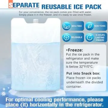 Chilled Portable Snackle Box with Ice Pack & Bag