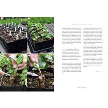 Floret Farm's Discovering Dahlias: A Guide to Growing and Arranging Magnificent Blooms (Floret Farms x Chronicle Books)