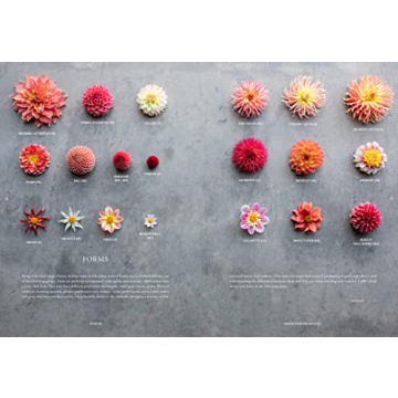 Floret Farm's Discovering Dahlias: A Guide to Growing and Arranging Magnificent Blooms (Floret Farms x Chronicle Books)