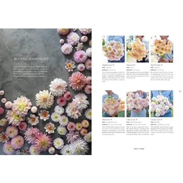 Floret Farm's Discovering Dahlias: A Guide to Growing and Arranging Magnificent Blooms (Floret Farms x Chronicle Books)