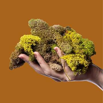 Poo~Pourri Before-You-Go Toilet Spray, Black Pepper Leather, Black Pepper + Leather + Oak Moss scent, 2 Fl Oz