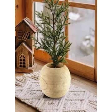 Serene Spaces Teak Essence Vase for Dried Flowers