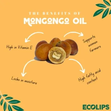 Eco Lips Mongo Kiss Organic Lip Balm 4-Pack Flavors