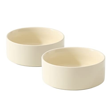 Havniva Premium Ceramic Cat Bowl Set of 2 - Stylish and Eco-Friendly!