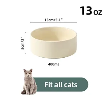 Havniva 2pcs Ceramic Cat Bowls - Non-Slip, Stylish Design