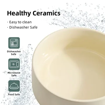 Havniva 2pcs Ceramic Cat Bowls - Non-Slip, Stylish Design