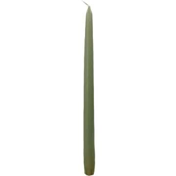 D'light Online Elegant 10" Olive Green Taper Candles Premium Quality Candles, Unscented, Hand-Dipped, Dripless and Smokeless Taper Candles - Individually Wrapped (10 Inch, Basil)