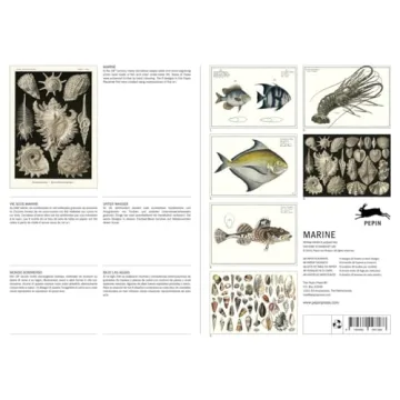 Marine Paper Placemat Pad in English, French, German