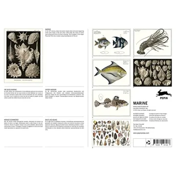 Marine Paper Placemat Pad in English, French, German