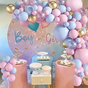 Janinus Pink Blue Balloon Arch Kit for Gender Reveal
