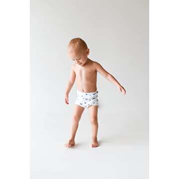 Laas Organic Cotton Potty Training Pants | Underwear, GOTS Certified, Boys, Girls, Unisex, Toddler, Pack of 3 (Blue wave, Grey, Stone, 3)