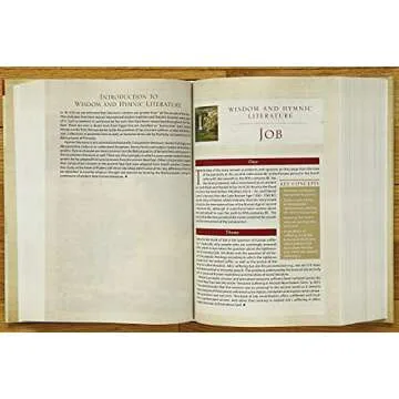 NIV, Cultural Backgrounds Study Bible (Context Changes Everything), Hardcover, Red Letter: Bringing to Life the Ancient World of Scripture