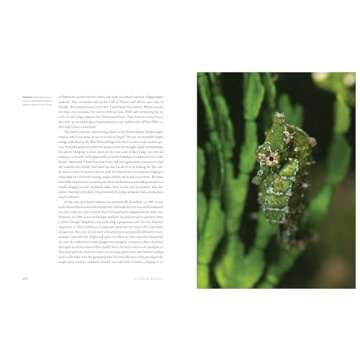 The World Beneath: The Life and Times of Unknown Sea Creatures and Coral Reefs