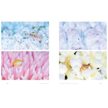 The World Beneath: Explore Unknown Sea Creatures