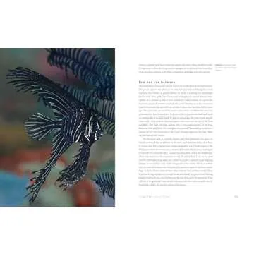 The World Beneath: Explore Unknown Sea Creatures